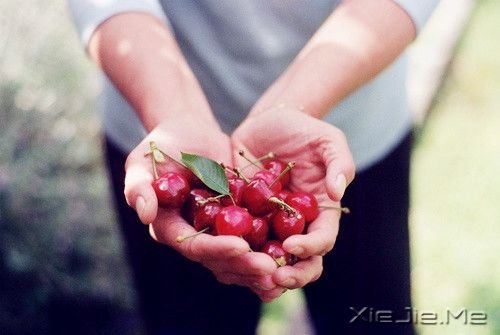 ҺƽҶһ޶ (3)
